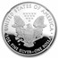 2013-W Proof American Silver Eagle PF-69 NGC