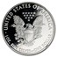 2013-W Proof American Silver Eagle PF-70 NGC (ER/FR)