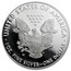 2013-W Proof American Silver Eagle PR-69 PCGS