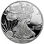 2013-W Proof American Silver Eagle PR-70 PCGS