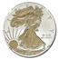 2013-W Reverse Proof American Silver Eagle PF-69 NGC