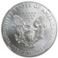 2013 (W) Silver Eagle MS-70 NGC (ER, West Point Star Label)