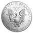 2014 1 oz American Silver Eagle (MintDirect® Single)