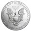 2014 100-Coin American Silver Eagle MintDirect® Mini Monster Box
