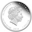 2014 Australia 1 oz Silver Lunar Horse Proof (Colorized)