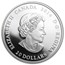 2014 Canada 1 oz Silver $20 Craigdarroch Castle Stained Glass