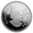 2014 Canada 1 oz Silver $20 River Rapids
