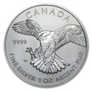 2014 RCM 1 oz Silver Birds of Prey Series Peregrine Falcon