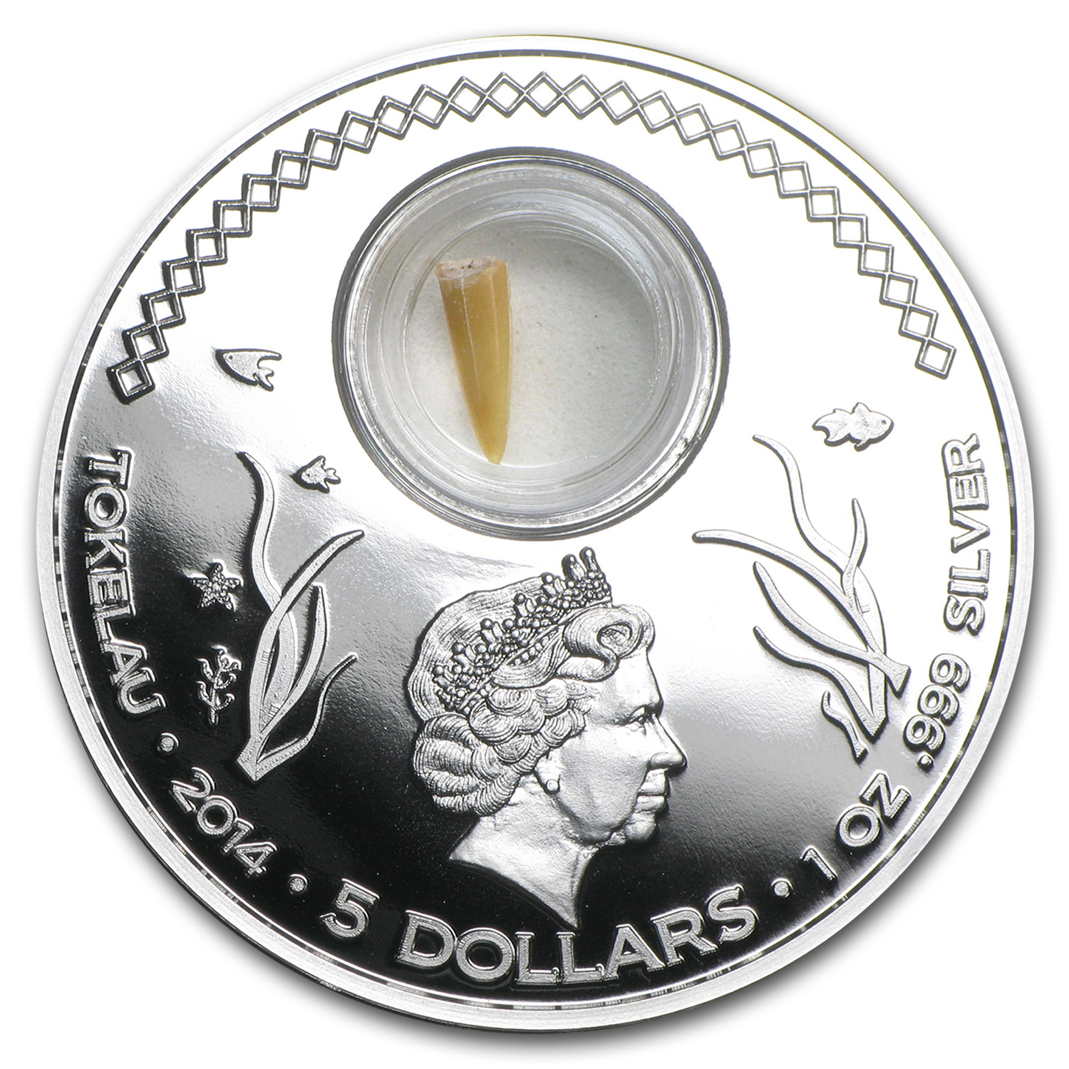 2014 Tokelau 1 oz Silver Shark Tooth (Great White Shark) | eBay