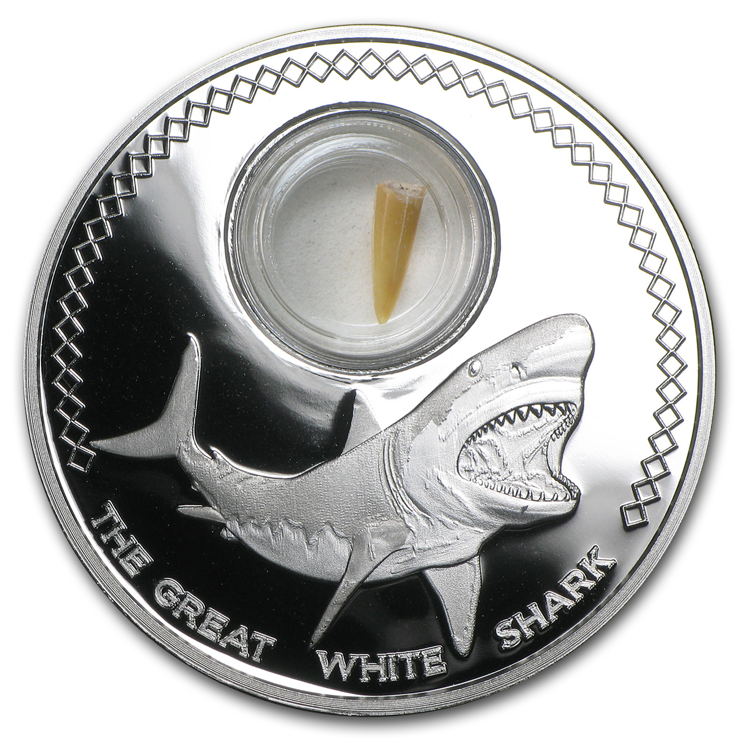 2014 Tokelau 1 oz Silver Shark Tooth (Great White Shark) | eBay