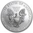 2014-W Burnished American Silver Eagle (w/Box & COA)