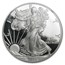 2014-W Proof American Silver Eagle PF-69 NGC