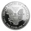 2014-W Proof American Silver Eagle PF-69 NGC