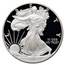 2014-W Proof American Silver Eagle PF-70 NGC (Castle)