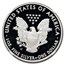 2014-W Proof American Silver Eagle PF-70 NGC (Castle)