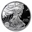 2014-W Proof American Silver Eagle PF-70 NGC (FR)