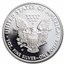 2014-W Proof American Silver Eagle PR-69 PCGS