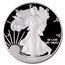2014-W Proof American Silver Eagle PR-70 PCGS (Reagan)