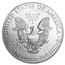 2015 1 oz American Silver Eagle (MintDirect® Single)