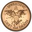 2015 5 oz Copper Round - Warbird