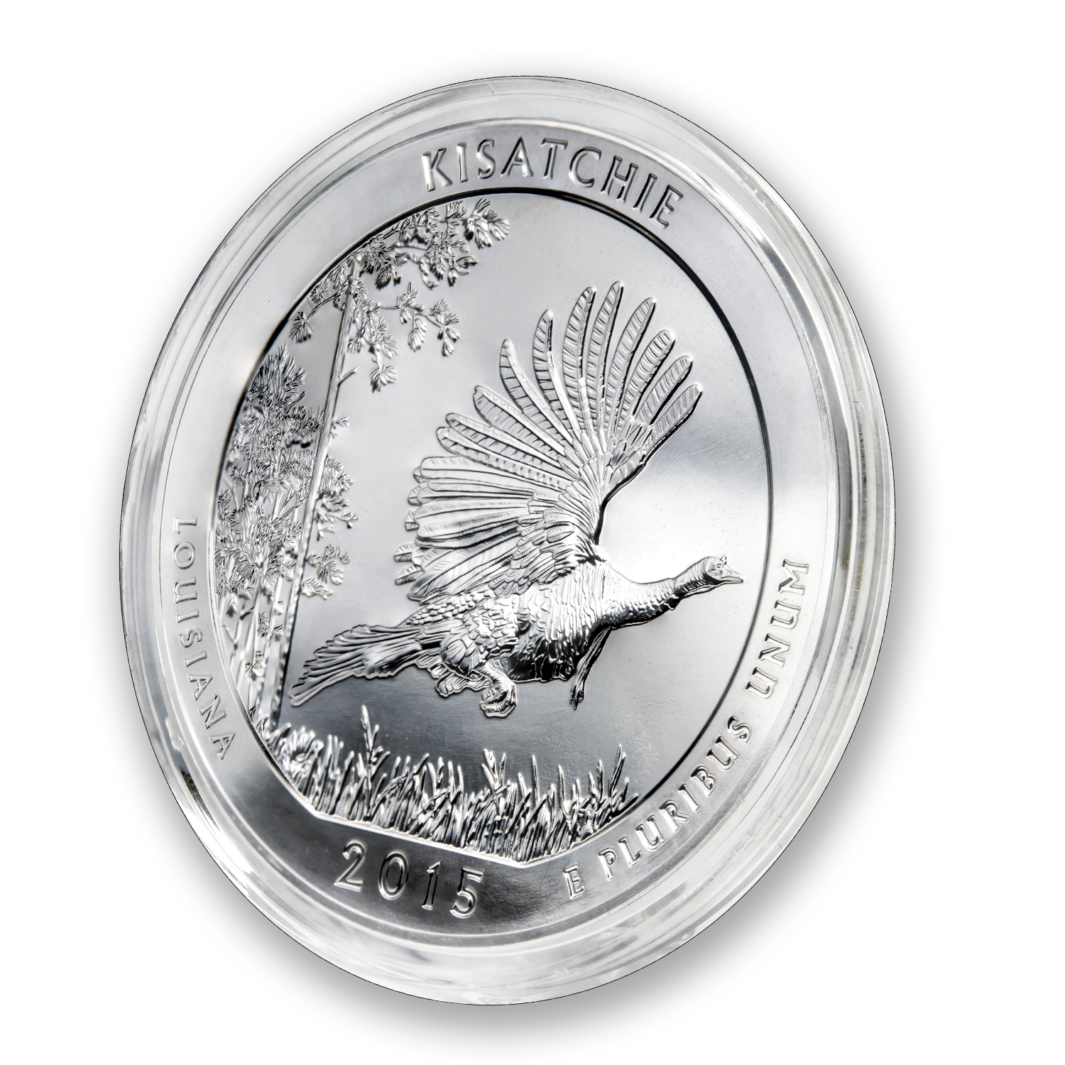 2015 5 oz Silver ATB Kisatchie National Forest, LA | eBay
