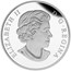 2015 Canada 1 oz Silver $20 Venetian Glass Turtle Proof