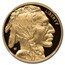 2015-W 1 oz Proof Gold Buffalo PF-70 NGC (ER)