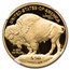 2015-W 1 oz Proof Gold Buffalo PF-70 NGC (ER)