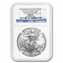 2015-W Burnished American Silver Eagle SP/MS-69 NGC