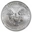 2015-W Burnished Silver Eagle MS-70 NGC (Early Releases)