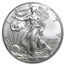 2015-W Burnished Silver Eagle MS-70 NGC (First Day of Issue)