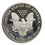 2015-W Pf. American Silver Eagle PR-70 PCGS (FirstStrike®, Toned)