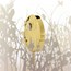 2016 1 kilo Prf Gold €5000 Excellence Series (Van Cleef & Arpels)