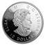 2016 Canada 1/2 oz Proof Silver Reflections $10 Grizzly Bear