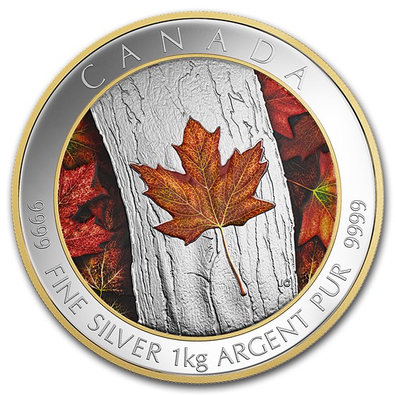 2016 Canada 1 kilo Silver $250 Maple Leaf Forever 2016 Canada 1 kilo Silver $250 Maple Leaf Forever
