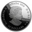 2016 Canada 2 oz Proof Silver $30 Illuminated Underwater Reef