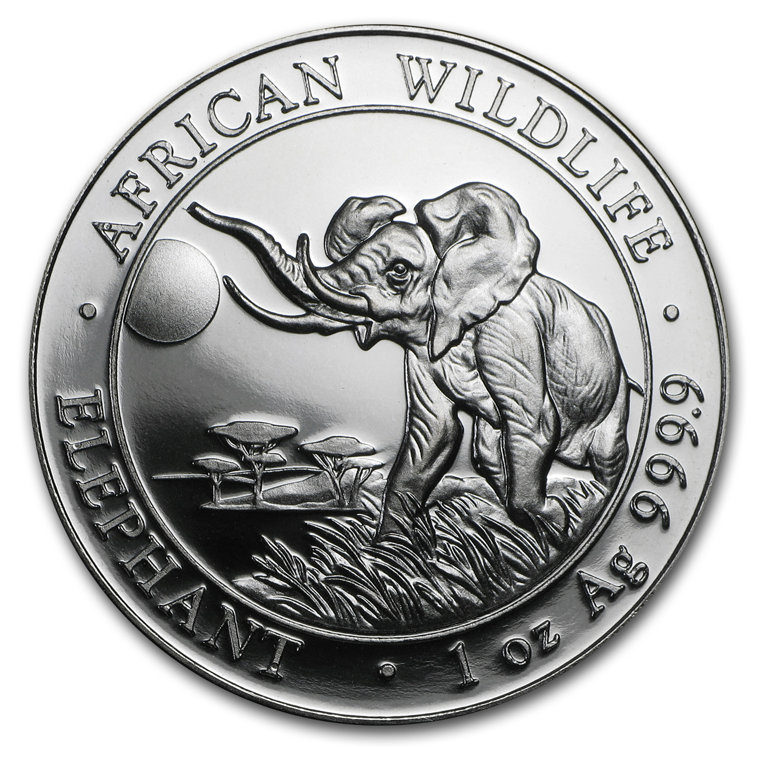 2016 Somalia AFRICAN ELEPHANT AT SUNSET Colorized Ruthenium Silver Coin Box-COA 