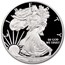 2016-W 1 oz Proof American Silver Eagle (w/Box & COA)