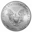 2016 (W) American Silver Eagle MS-69 NGC (ER)