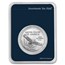 2017 1 oz American Platinum Eagle (MintDirect® Premier Single)