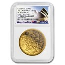 2017 Australia 1 oz $100 Gold Northern Sky Domed PF-70 NGC 2017 Australia 1 oz $100 Gold Northern Sky Domed PF-70 NGC