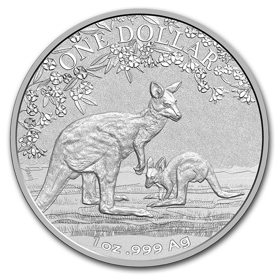 2017 Australia 1 oz Silver Kangaroo (Display Card)