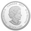 2017 Canada 1 oz Proof Silver $20 Kaleidoscope: The Loon