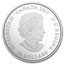 2017 Canada 2 oz Silver $30 Animals in the Moonlight: Cougar