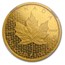 2017 Canada $200 1 oz Gold Maple Leaf PF-70 Matte NGC (FR)
