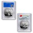 2017 China 30 gram Silver Panda MS-69 PCGS (FirstStrike®)