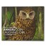 2017 New Zealand 1 oz Silver $5 Annual Coin: Laughing Owl