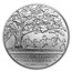 2017-P Boys Town $1 Centennial Silver BU (Box & COA)