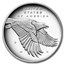2017-P Silver American Liberty Medal Proof (w/Box & COA)