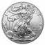 2017-W Burnished American Silver Eagle SP-69 PCGS